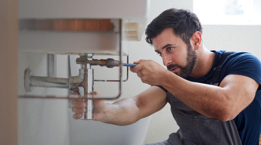 Trap Repair/Replacement in Dorr, MI